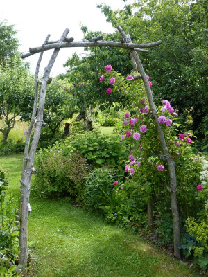 2016-06-11 Garteneinblick 1.jpg