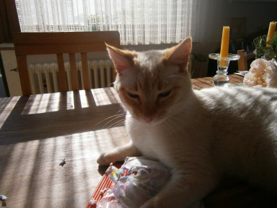 Pablo 012.JPG