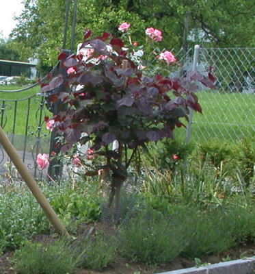S4__S3_1608_78.jpg