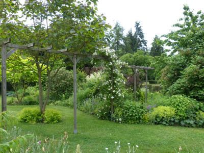 2016-06-12 Garteneinblick 2.jpg