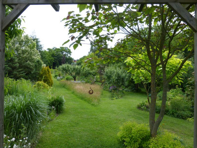 2016-06-12 Garteneinblick 3.jpg
