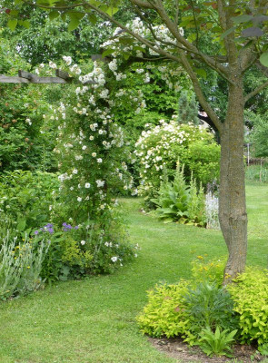 2016-06-12 Garteneinblick 4.jpg