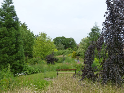 2016-06-12 Garteneinblick 5.jpg