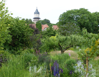 2016-06-12 Garteneinblick 6.jpg