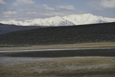 _DSC8552.jpg