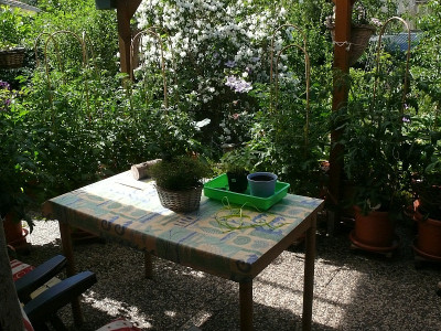 terrasse_ist_zu_klein.jpg