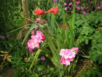 Garten_Oktober_2006_001.jpg