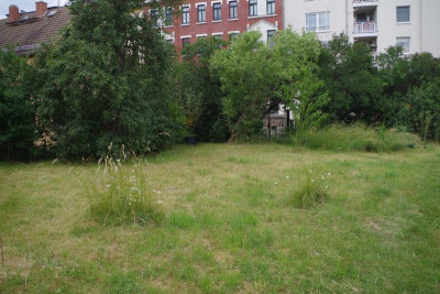 IMGP0657.JPG