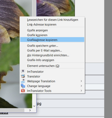 GrafikadresseKopieren.jpg