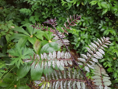 20160614_102058.jpg