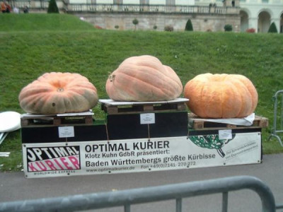 Sieger_B.-W..jpg