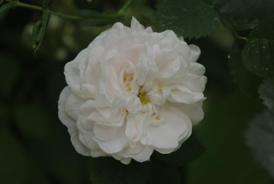20160615_223.JPG