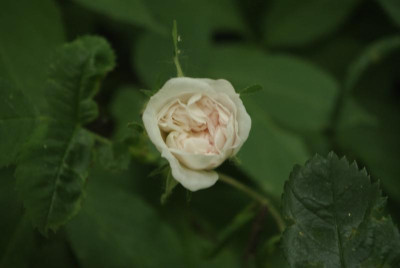 20160615_224.JPG