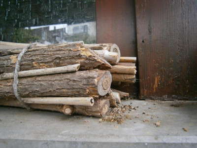 Rotschwänzchen, Bienennisthilfe 004.JPG