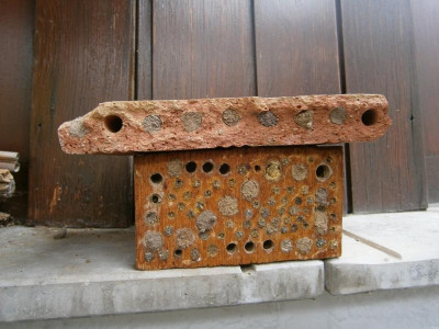 Rotschwänzchen, Bienennisthilfe 005.JPG