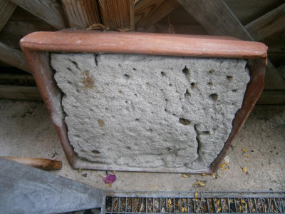 Rotschwänzchen, Bienennisthilfe 008.JPG