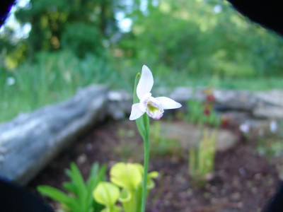 alles neu 06. 2011 053.jpg