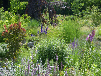 2016-06-16 Garteneinblick 1.jpg