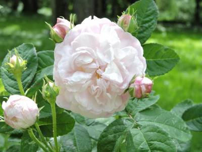 DSCN4682.JPG