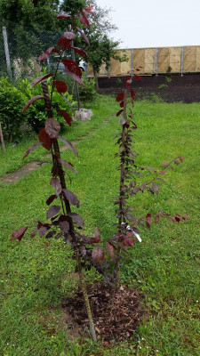20160616_143519.jpg