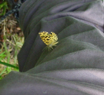 DSC05094.JPG