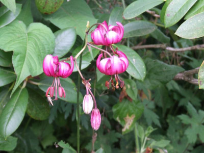 DSCF3168.JPG