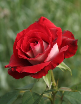 osiria_3717.jpg