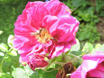 DSCN4702.JPG
