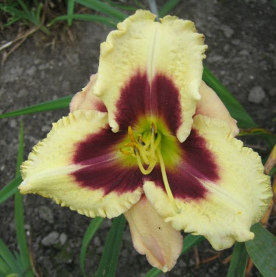 bei_MJ_3_36211.jpg
