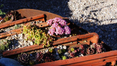 DSC02638.JPG