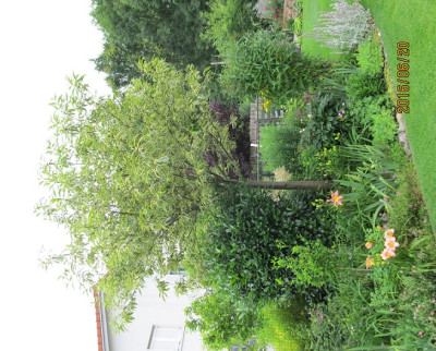 IMG_0961 small.jpg
