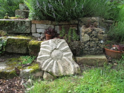 Sonnenblume.jpg