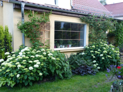 2016-06-21 Garteneinblick.jpg