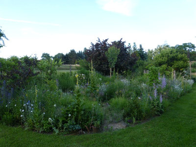 2016-06-21 Ahornbeet 5.jpg
