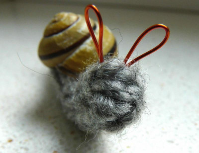 wollschnecke.jpg