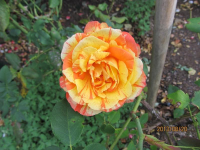 IMG_3267 small.jpg
