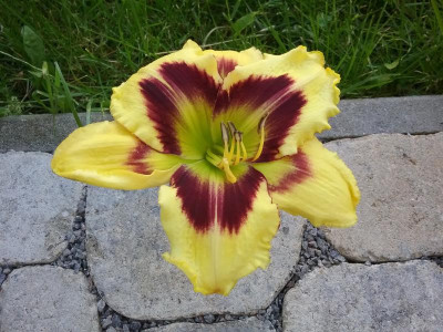 20160623_070754.jpg