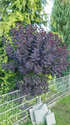 2016-06-23 08.00.49.jpg