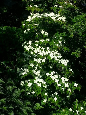 20160607_072904.jpg