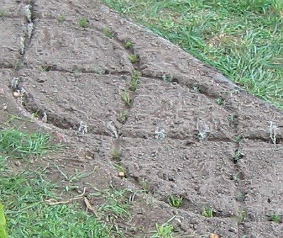 Flechtgarten_20061001_05.jpg