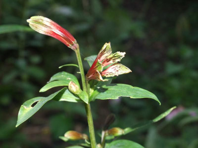 DSCF3173.JPG