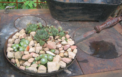 Gartenkuche_20061001_03.jpg