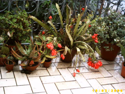 2006_1003Bild0001.JPG