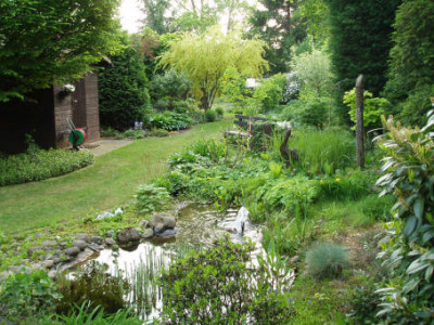 Gartenteich.JPG
