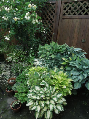 DSCN4156.JPG