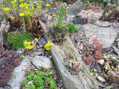 20160626_101314.jpg