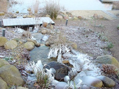 Teich2000_12_04_2.jpg