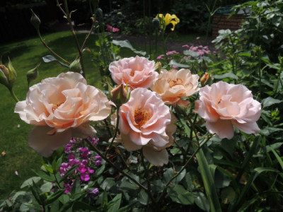 DSCN0692_1559.JPG