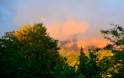 DSC9525a.jpg