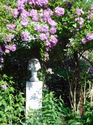 DSCN0798.JPG